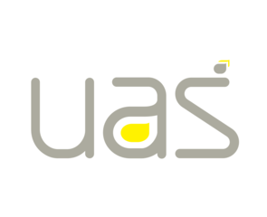 Universal Access and Systems Solutions (UAS)